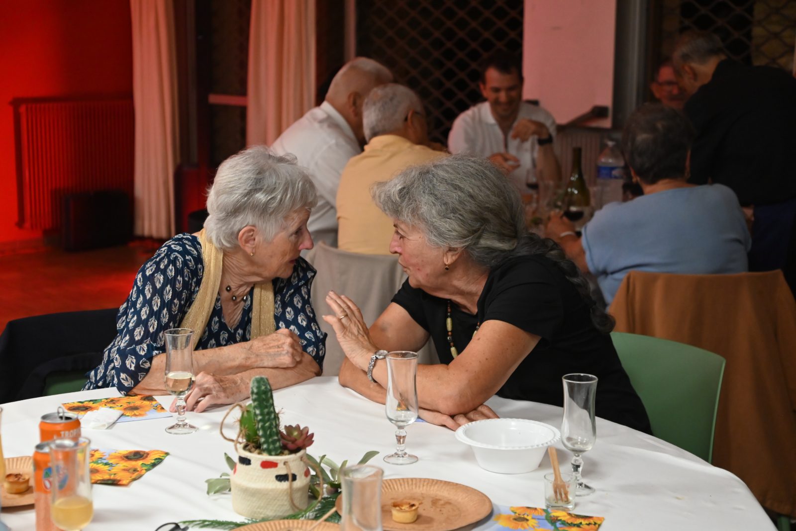La soirée de gala, photo 49