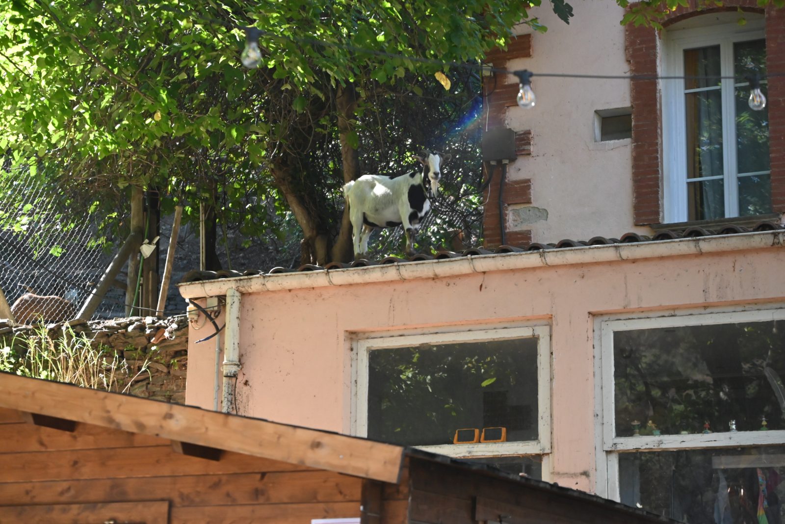 L'Ermitage Notre-Dame de Consolation, photo 85